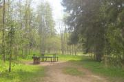 Photo: D1, Deer Hollow