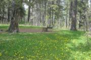Photo: D10, Deer Hollow
