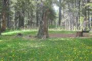 Photo: D10, Deer Hollow