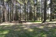 Photo: D13, Deer Hollow