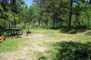 Photo: D2, Deer Hollow