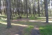 Photo: D22, Deer Hollow