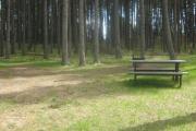 Photo: D26, Deer Hollow