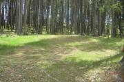 Photo: D28, Deer Hollow