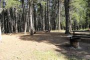 Photo: D6, Deer Hollow