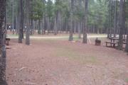 Photo: L2, Lodgepole