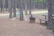 Photo: L2, Lodgepole