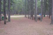 Photo: L4, Lodgepole