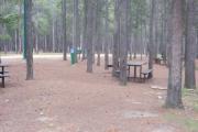 Photo: L5, Lodgepole
