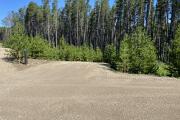 Photo: PH11, Pine Hill