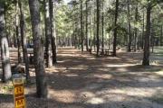 Photo: L7, Lodgepole