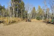 Photo: M106, Meadows