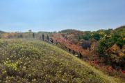 Photo: Fall Guided Hikes