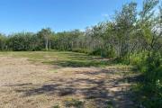 Photo: Coyote Clearing, Group Areas