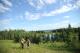 Photo: Meadow Lake Park Provincial Park